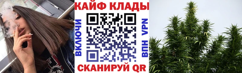 Продажа наркотиков Тайшет Канабис  COCAIN  СК  МЕФ  Гашиш 