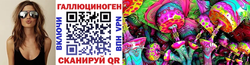 Галлюциногенные грибы Psilocybe  Тайшет 