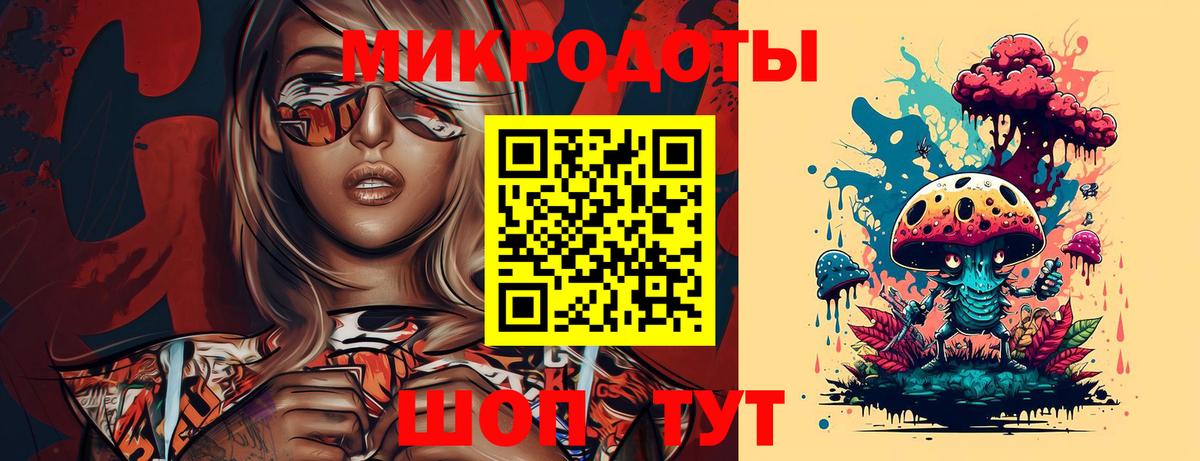 Псилоцибиновые грибы Psilocybe Тайшет