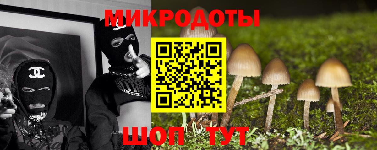 Псилоцибиновые грибы MAGIC MUSHROOMS  Тайшет 