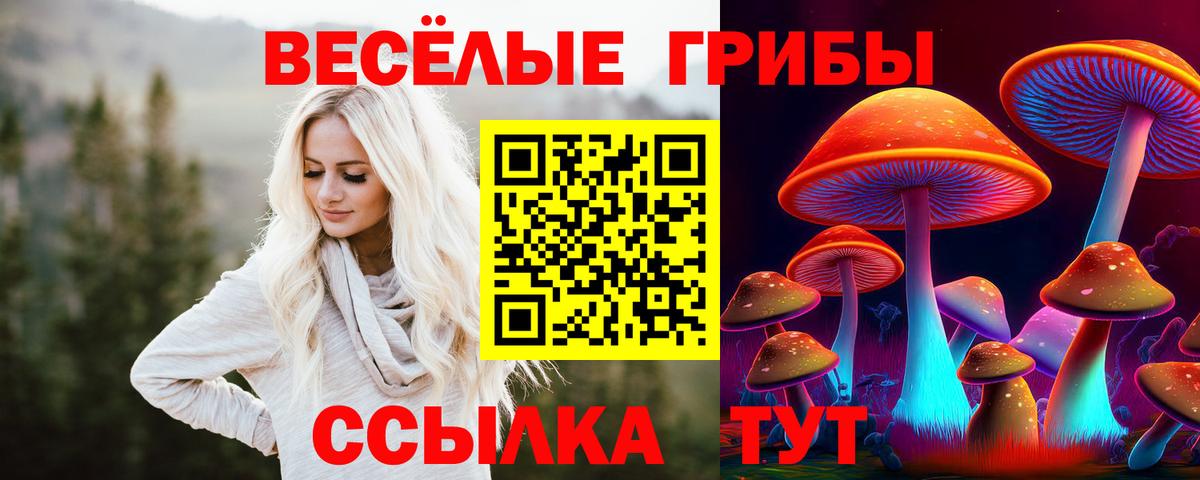 Тайшет  Гашиш  Экстази  Меф МЯУ МЯУ   Вход с VPN  Cocaine  Канабис 