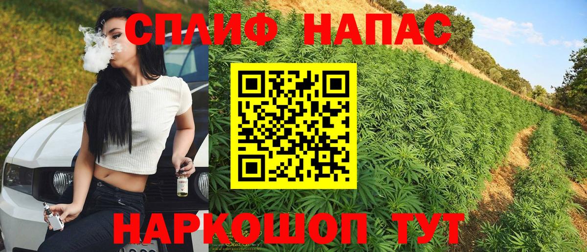 Конопля Amnesia Тайшет